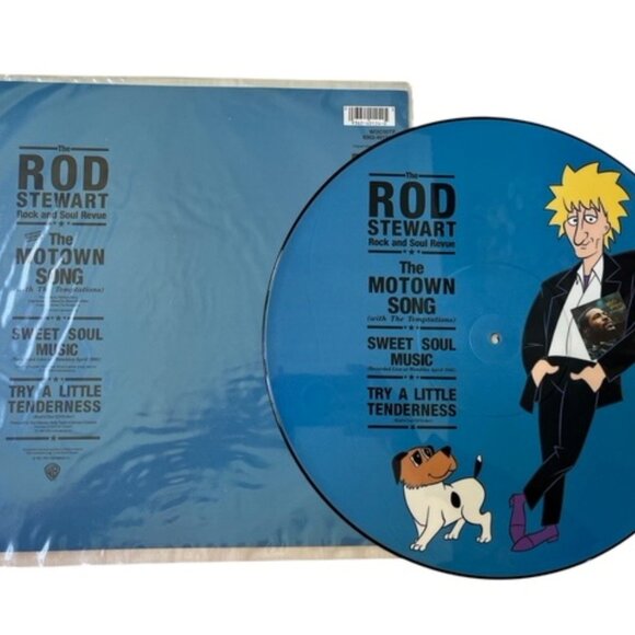 LE ROD STEWART Picture Disc Vinyl Album | Record Released 1991 British Rock Musi - Picture 2 of 4
